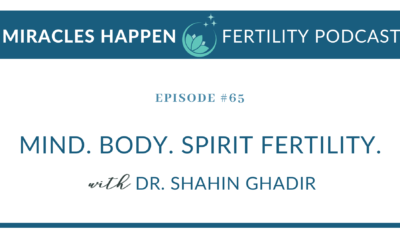 MHFP 065: Mind. Body. Spirit Fertility.