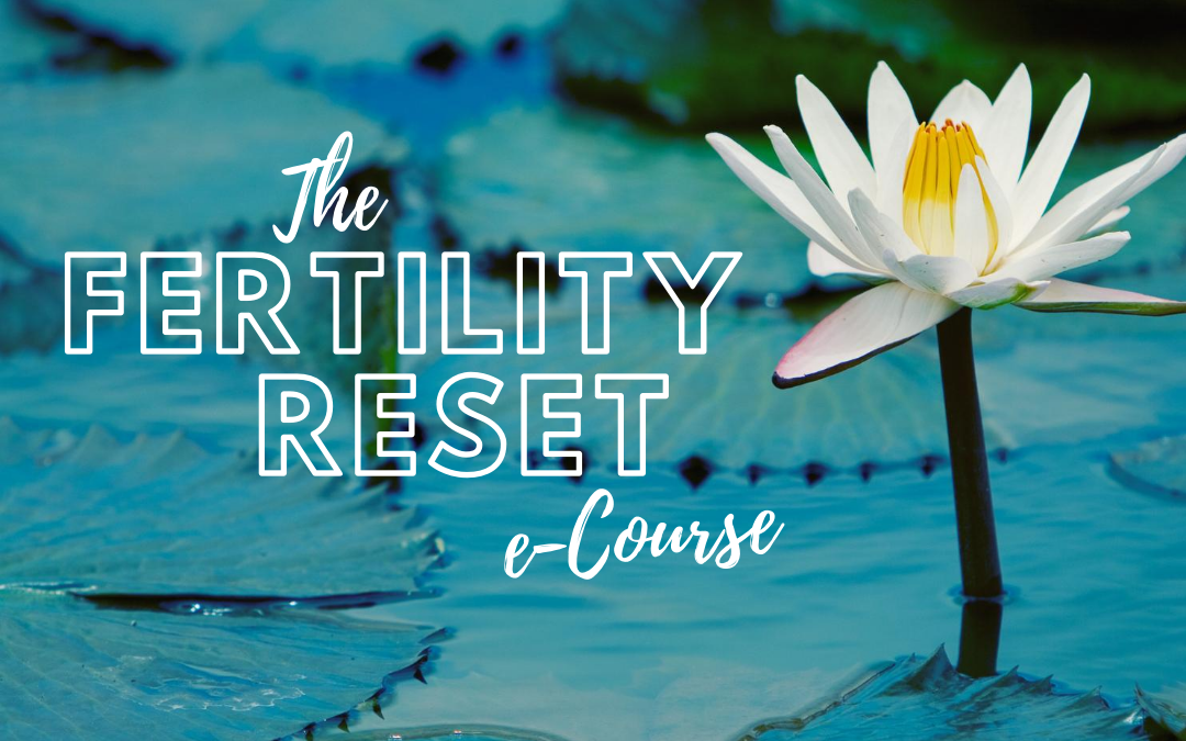 Fertility Reset Header