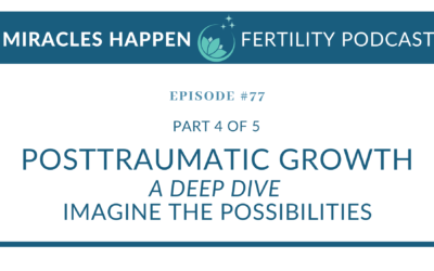 MHFP 077: PTG Part 4 – Imagine the Possibilities