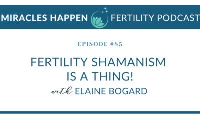 MHFP 085: Fertility Shamanism is a Thing with Elaine Bogard